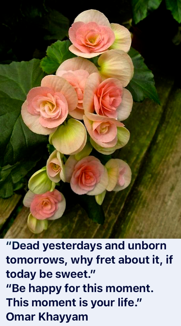 Screen Shot 2019-02-22 at 10.45.51 PM.png