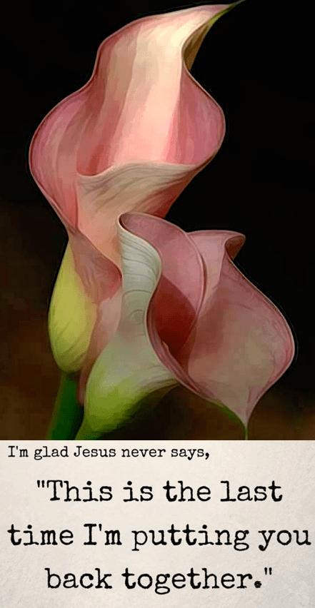 Screen Shot 2019-02-22 at 10.50.40 PM.png