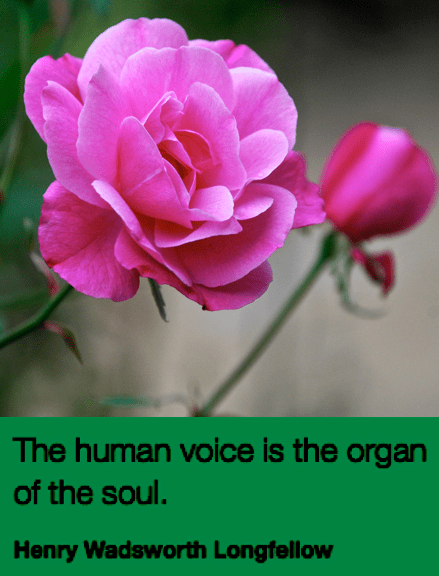 Screen Shot 2019-02-25 at 9.05.40 PM.png