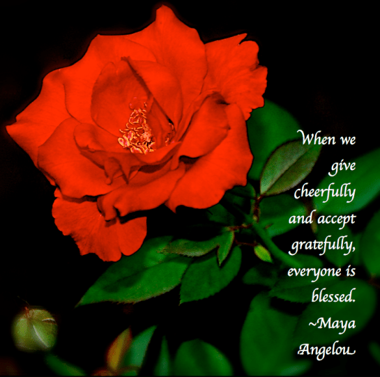 Screen Shot 2019-02-25 at 9.17.43 PM.png