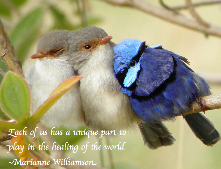 Screen Shot 2019-03-03 at 10.24.25 PM.png