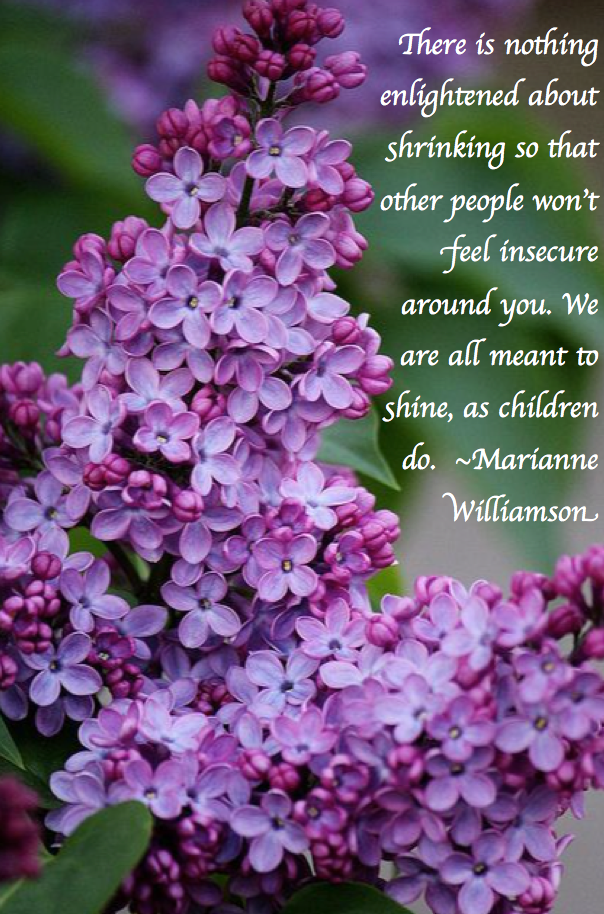 Screen Shot 2019-03-03 at 10.32.23 PM.png