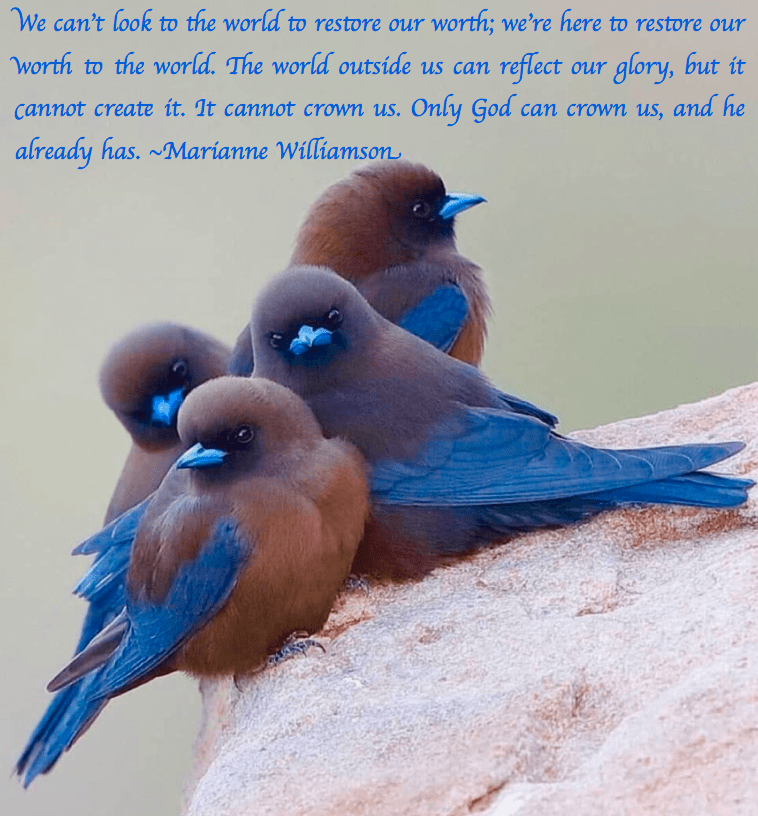 Screen Shot 2019-03-03 at 10.46.13 PM.png