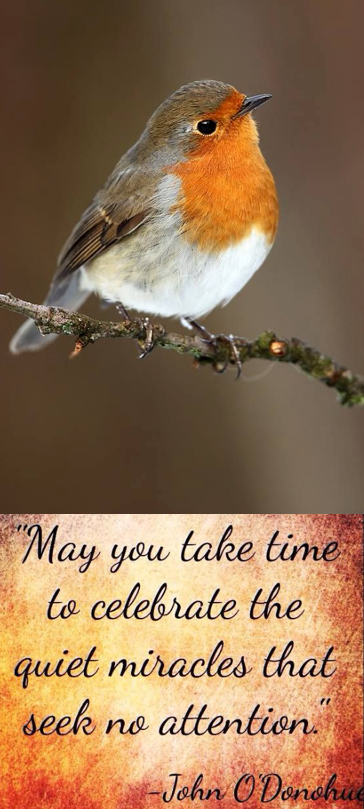 Screen Shot 2019-03-04 at 10.19.44 PM.png