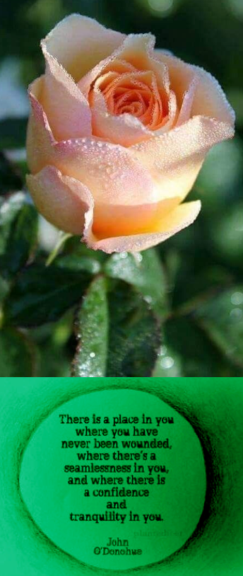 Screen Shot 2019-03-04 at 10.26.16 PM.png