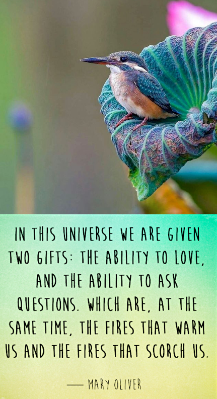 Screen Shot 2019-03-07 at 10.37.49 PM.png