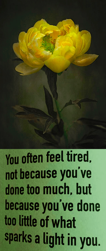 Screen Shot 2019-03-11 at 8.53.45 PM.png