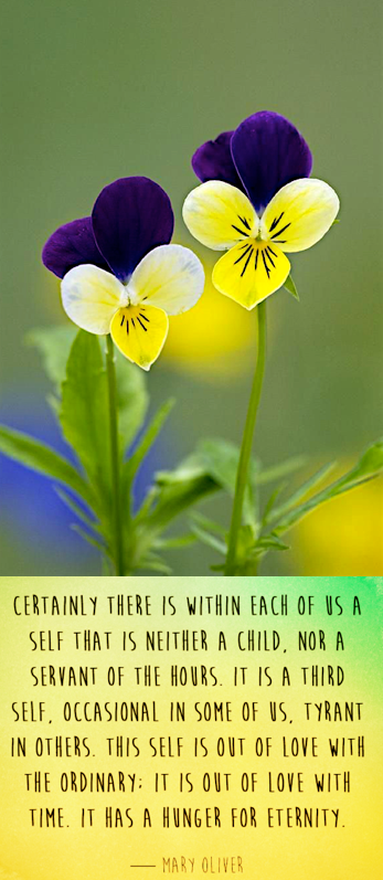 Screen Shot 2019-03-11 at 8.58.50 PM.png