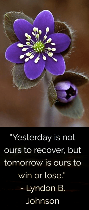 Screen Shot 2019-03-11 at 9.08.54 PM.png