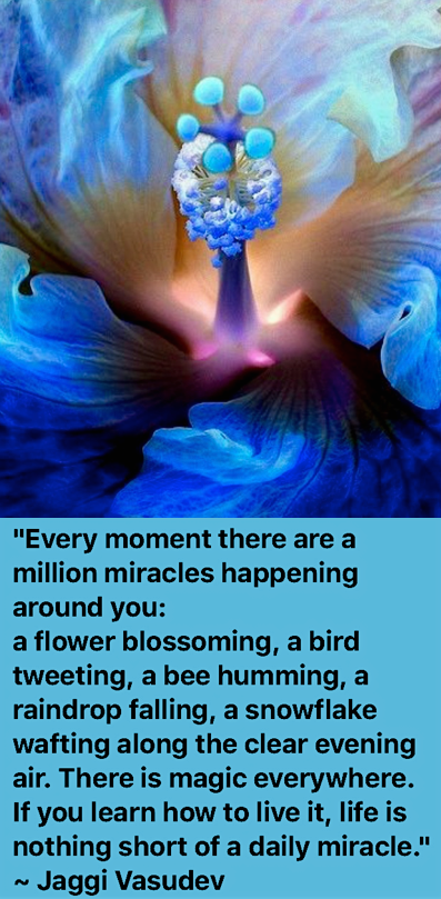 Screen Shot 2019-03-13 at 10.55.30 PM.png