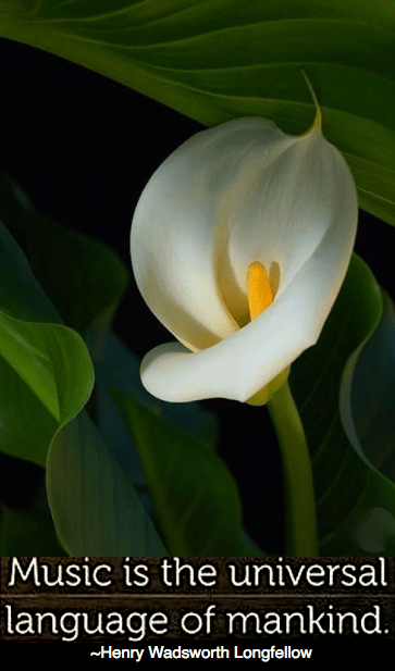 Screen Shot 2019-03-13 at 11.00.10 PM.png