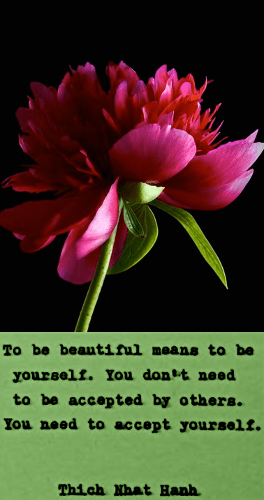 Screen Shot 2019-03-13 at 11.02.21 PM.png