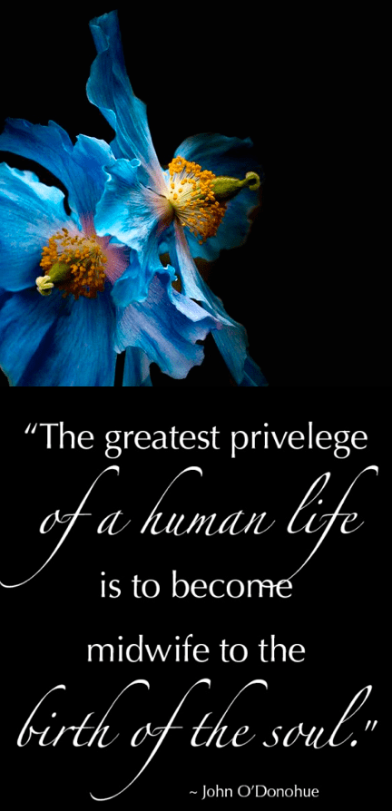 Screen Shot 2019-03-13 at 11.03.47 PM.png