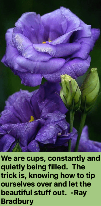 Screen Shot 2019-03-13 at 11.05.24 PM.png