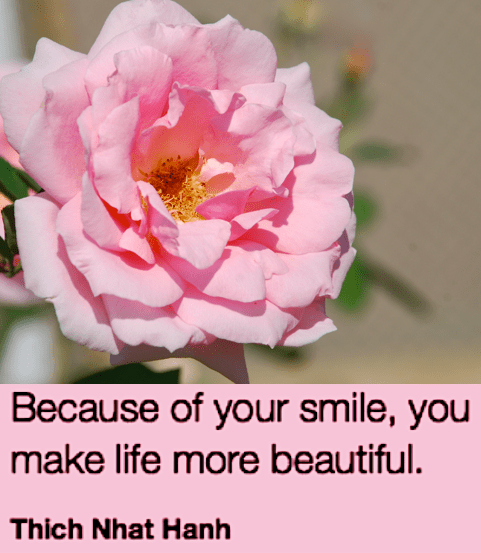 Screen Shot 2019-03-14 at 10.20.21 PM.png