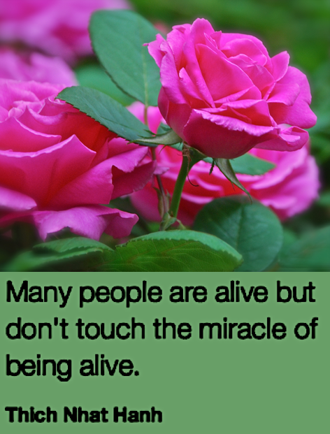 Screen Shot 2019-03-14 at 10.25.08 PM.png