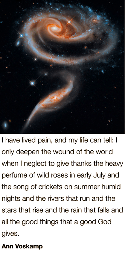 Screen Shot 2019-03-15 at 10.24.23 PM.png