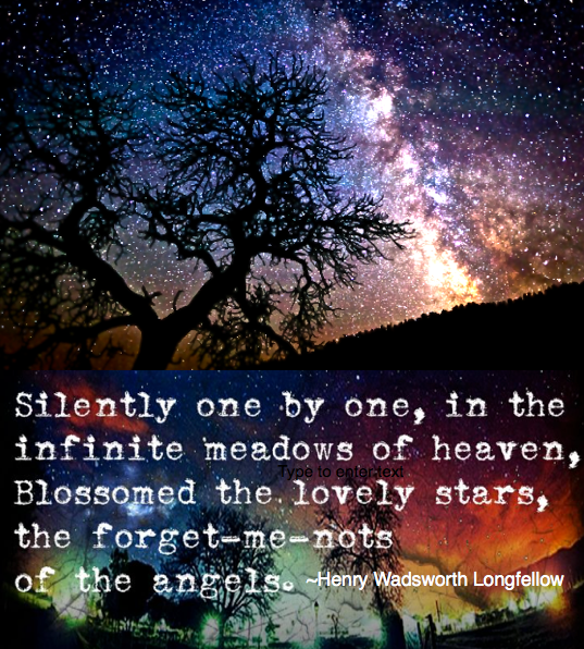 Screen Shot 2019-03-20 at 9.25.59 PM.png