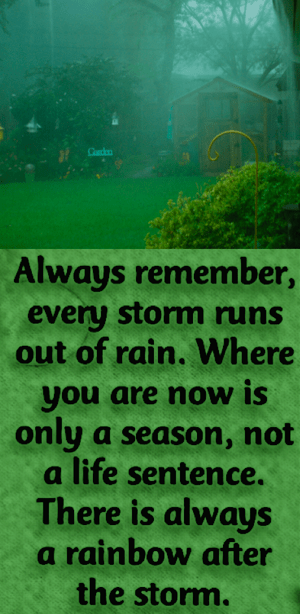 Screen Shot 2019-03-20 at 9.37.11 PM.png