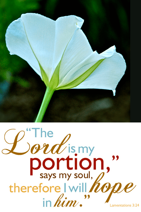 Screen Shot 2019-03-20 at 9.44.00 PM.png