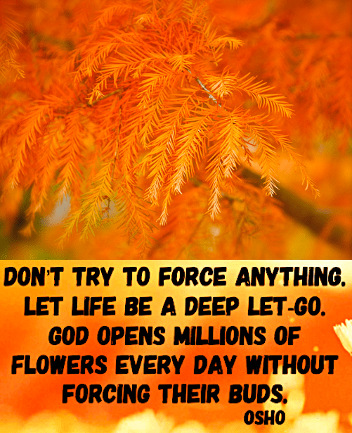 Screen Shot 2019-03-20 at 9.50.17 PM.png