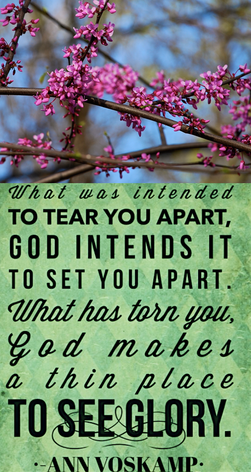 Screen Shot 2019-03-21 at 10.22.54 PM.png