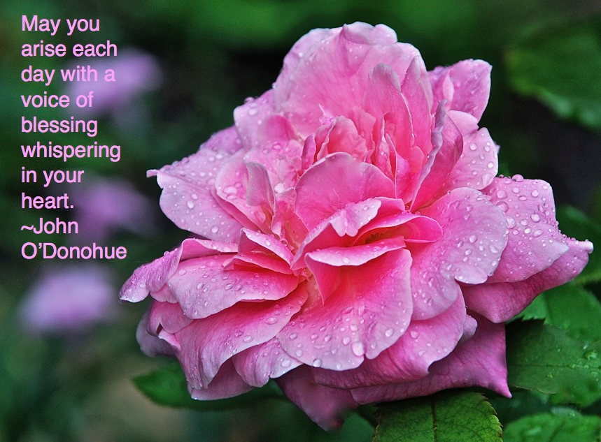 Screen Shot 2019-03-21 at 10.24.21 PM.png