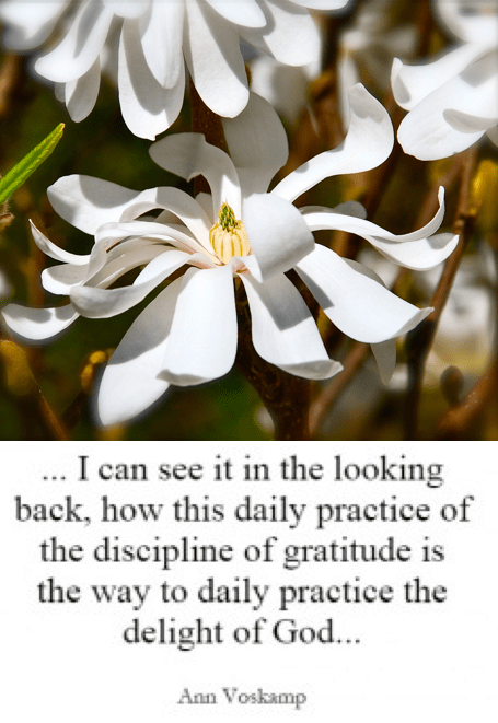 Screen Shot 2019-03-21 at 10.36.55 PM.png