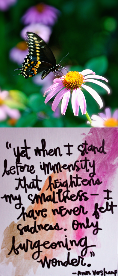 Screen Shot 2019-03-24 at 10.09.01 PM.png