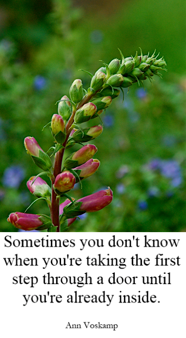 Screen Shot 2019-03-24 at 10.10.58 PM.png