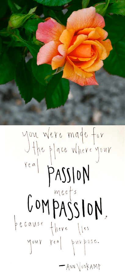 Screen Shot 2019-03-24 at 10.12.59 PM.png