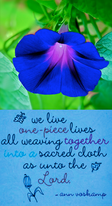 Screen Shot 2019-03-24 at 9.51.31 PM.png